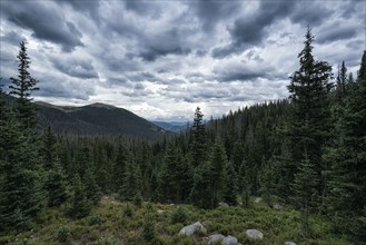 Clouds over trees in mountain landscape