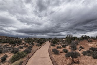 Path under clouds in Arches National Park
