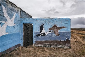 Mural of flying ducks on walls