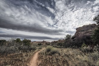 Clouds over path in desert