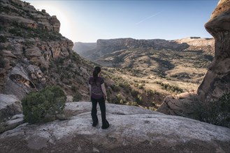 Woman admiring scenic view of desert