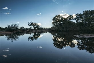 Reflection of trees and blue sky in still lake