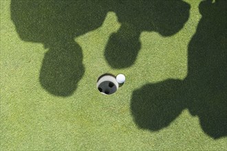 Shadows of golfers over golf ball next to hole