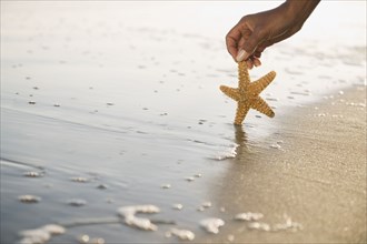 Mixed Race woman holding starfish on sand