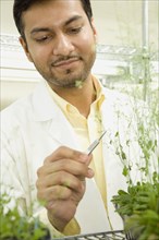 Pakistani scientist testing plant growth