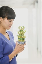 Chinese woman looking at bamboo plant