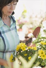 Close up of senior woman gardening