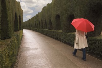 Rear view of woman walking with umbrella along hedged path