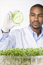 African American scientist looking at petri dish with sprouts in bowl
