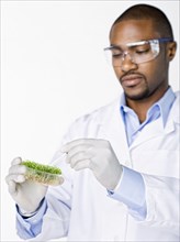 African American scientist working with petri dish of sprouts