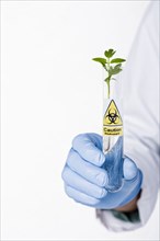 Hispanic scientist holding test tube with caution symbol containing sprout