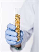 Hispanic scientist holding test tube containing corn