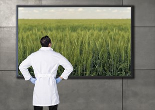 Hispanic scientist looking at agricultural image on television screen