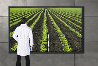 Hispanic scientist looking at agricultural image on television screen