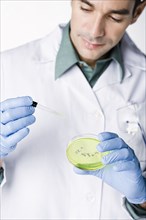 Hispanic scientist working with dropper and petri dish