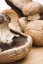 Close up of cremini mushrooms