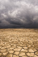 Cracked earth under cloudy sky in desert landscape