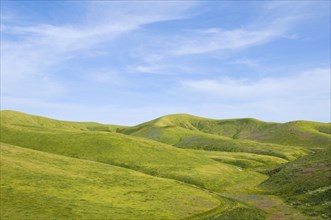 Hills and blue sky in rolling landscape