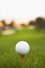 Close up of teed golf ball on golf course