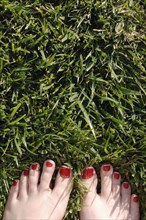 Red toenails of barefoot woman in grass