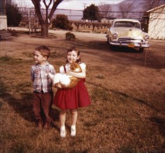 Caucasian brother and sister standing in yard holding cat