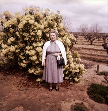 Older Caucasian woman wearing dress near vineyard