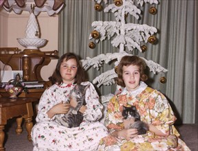 Portrait of Caucasian sisters wearing pajamas holding cats on Christmas