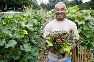 Black man holding lettuce in community garden