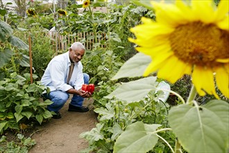 Black man holding bell peppers in community garden
