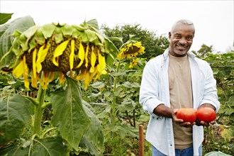 Black man holding tomatoes in community garden