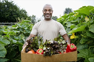 Black man gathering vegetables in community garden