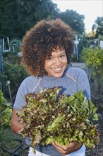 Mixed race woman picking lettuce in garden