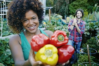 Mixed race woman picking peppers in garden