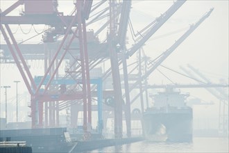 Shipping cranes in foggy industrial harbor