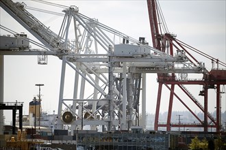 Shipping cranes in industrial harbor