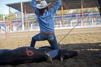 Caucasian cowgirl tying cattle in rodeo on ranch
