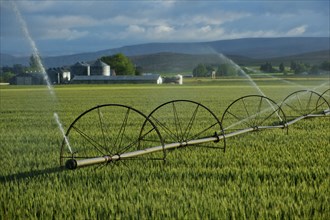 Irrigation system watering crops on farm field