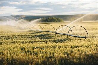 Irrigation system watering crops on farm field