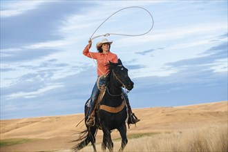 Caucasian woman on horse throwing lasso in grassy field