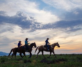 Cowgirls and cowboy riding horses in rural field