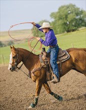 Cowboy throwing lasso on horseback