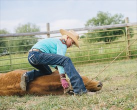 Cowgirl tying cattle on ranch