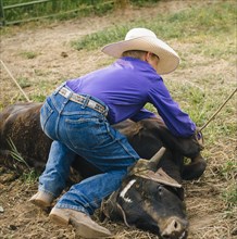 Cowboy tying cattle on ranch