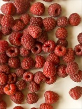 Close up of red raspberries