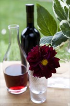 Wine in carafe and flower in vase
