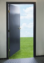 Door opening onto green lawn
