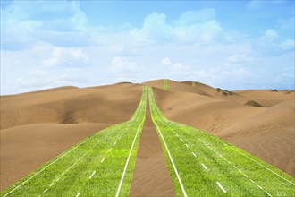 Highway of grass crossing the desert
