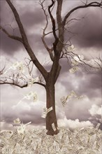 Illustration of dollar bills falling from tree in storm