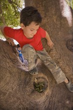 Hispanic boy climbing in tree