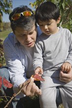 Hispanic father and son examining leaves outdoors